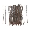 Arranview Jewellery - Pack of 36 Long Hair Pins Bun