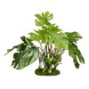 BLUE RIBBON PET PRODUCTS 030157017699 Colorburst Florals Split Leaf Philodendron,