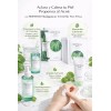 Kit 4 Pzs Skin1004 Madagascar Centella Tea-trica Grasa Acne