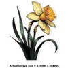 Azeeda 'Daffodil Flower' White Premium Vinyl Decal Sticker – Waterproof,