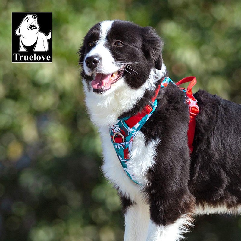 WINHYEPET True Love No-Pull Dog Harness, Adjustable Outer Vest, Reflective