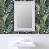 Removable Wallpaper 3ft x 2ft - Forest Ferns Woodland Fern