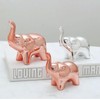 Tibeoyad Set of 2 Ceramic Elephant Ornaments, Desktop Statue, Tiny