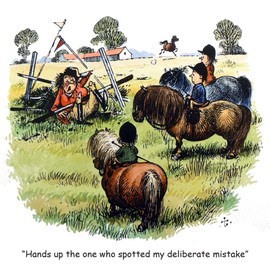 Thelwell Pony Greeting Card assorted pack of 9 fun horse cartoons