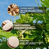 Lumbor37 Esponja Natural de Lufa, Exfoliantes Naturales Puras, Limpieza Profunda