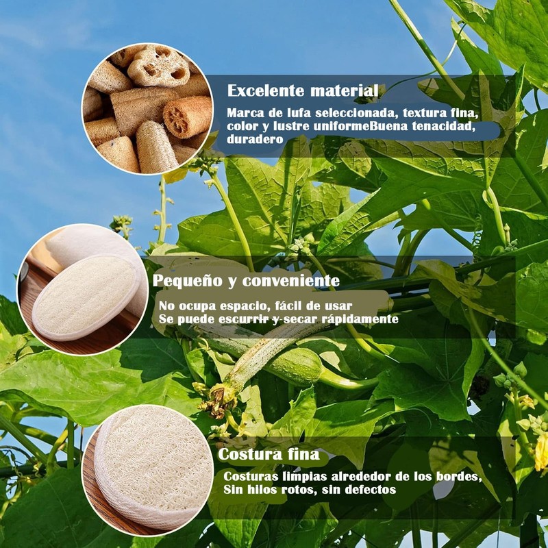 Lumbor37 Esponja Natural de Lufa, Exfoliantes Naturales Puras, Limpieza Profunda