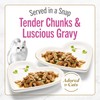 Purina Fancy Feast Petites Seared Salmon Entree With Spinach in