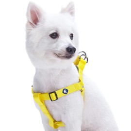 Blueberry Pet Essentials Matching Medium Nylon No Pull Dog Harness | Adjustable Classic Easy Walk Harness for Medium & Step in Dogs - Blazing Yellow