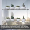 ZerzSemp 2-Tier Acrylic Window Display Shelves – 16" Adjustable Clear
