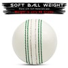 SialPro Soft Cricket Rubber Ball Set Indoor/Outdoor for Junior Youth