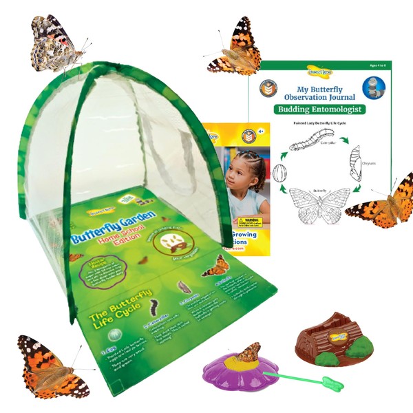 Insect Lore Butterfly Garden Experience | No Fee Prepaid Voucher