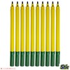 STIC ColorStix Felt Tip Pens, GREEN, Pack of 20, Colour