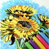 Pentel Arts Colour Pen Set, Fine Point, Professional Quality, Mixed