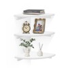 Lamapggio Corner Floating Shelves with Double Support Brackets, 3 Pack