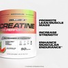 Cellucor Creatine Powder, Watermelon Flavor - Increases Strength, Lean Muscle