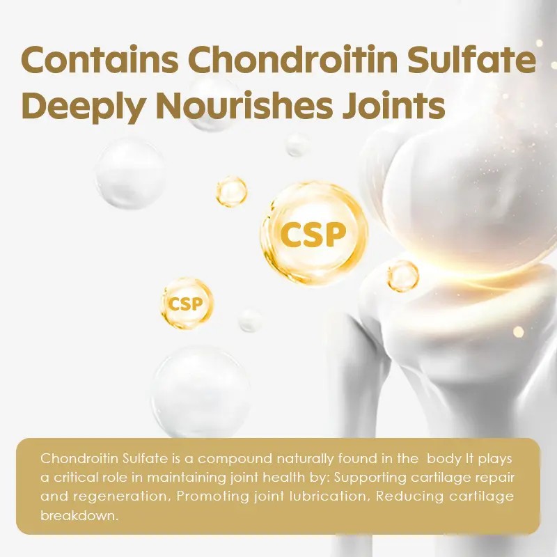 Joint Support Capsules – Glucosamine, Chondroitin, MSM, Turmeric – 120