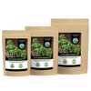 Ground Basil (250g, 8.8oz), Basil Powder, 100% Natural and Without