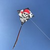 In the Breeze Diamond Kite - Single Line Beginner Kite