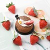 Luckforest Artificial Strawberries, 30 Pcs Small Lifelike Strawberries Plastic Fake