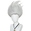 Pure Silver Wig for Men Silver Straight Cosplay Wigs for