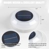 Solar Floating Pool Lights, Dynamic RGB Lighting Effects, IP68 Waterproof