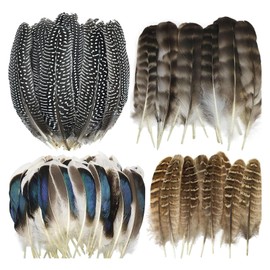40pcs Natural Pheasant & Turkey Feathers for Crafting DIY Hat, Flower Arrangement, Party - 4 Styles Spotted Craft Decorative Feathers