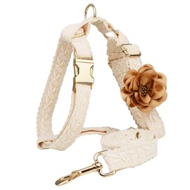 Girl Dog Harness and Leash Set Fancy Lace Dog Harness for Medium Dogs with Metal Clasp Adjustable Handmade Embroidered Cotton No Pull Dog Harnes for Dog Wedding Birthday Outfit (White,M)