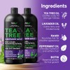 Champú y acondicionador Tea Tree Lavender Mint con aceite de