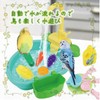 Hyack Bird Water Play Bathing Bathtub Shower Faucet Bird Bath