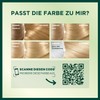 Garnier Nutrisse Cream Colour, Light Blonde 90 / Colouring for