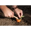 Esschert Design Wooden Dibber Plant Aid 8 cm x 2
