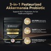 Inner Brightness Akkermansia Probiotic, GLP-1 Supplement for Gut Health &