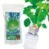 Indoor Cultivation Kit, Large Leaves, Easy Growing with Plastic Bottles,