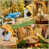Kiki’s Premium Parrot Food| Protein-Rich Low-Fat Formula | Cockatiel, Conure,