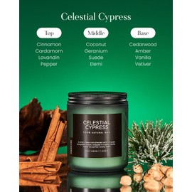 M&SENSE Celestial Cypress Scented Soy Jar Candles, Best Smelling Candle Cedarwood Cardamom Scented Candles 7.05oz 50 Hour Long Lasting Burn, Non Toxic Natural Woody Candle Gifts for Men Women