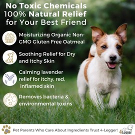 4Legger Organic Oatmeal Dog Shampoo with Aloe and Lavender Essential Oil - All Natural Safely Soothe, Condition and Moisturize Normal to Dry, Itchy Sensitive Skin - Made in USA - 16 oz