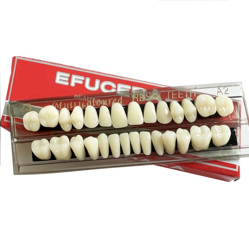 56 Pieces False Teeth Acrylic Resin Denture Tooth, Denture Tooth