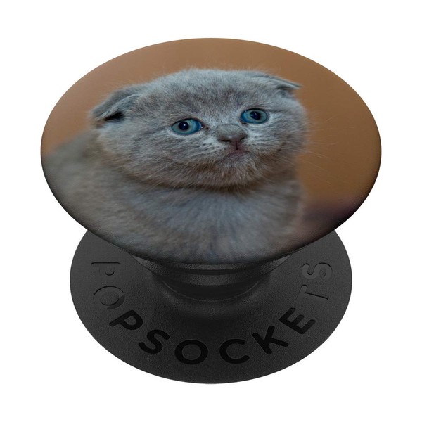 Sad awkward Cat Kitten Scottish Fold - Funny meme design