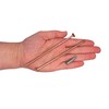 SKIR'CO (Pack of 40) Universal Zinc Plated Steel 5.0 x
