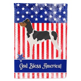Caroline's Treasures BB8396CHF Brazilian Terrier American House Flag Large Porch Sleeve Pole Decorative Outside Yard Banner Artwork Wall Hanging, Polyester, House Size, Multicolor