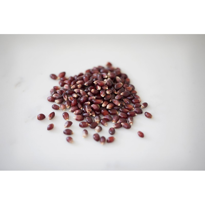 Amish Country Popcorn | 25 lbs Bag | Red Popcorn