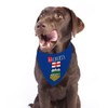 Love Alberta Bandanas for Large and Medium Pets,12×27inch Albertan Dog