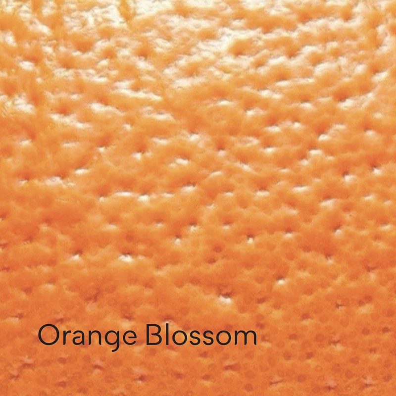 Doliderm Paris - Creamy Shower Gel, 33.8 Fl Oz (Orange