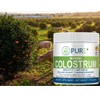 PURE® Colostrum - Bovine sourced Superfood. Supports Immune & Digestive