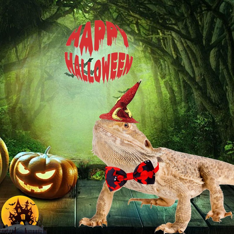 4 Pack Halloween Hamster Costume Small Animal Clothes Funny Witch