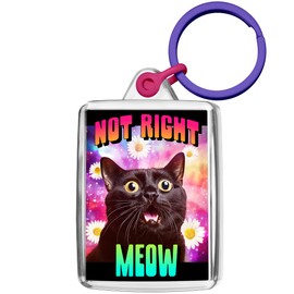 Pixly® Not Right Meow Keyring Key Fob Keychain Keepsake Cat Funny Gift for Him Her