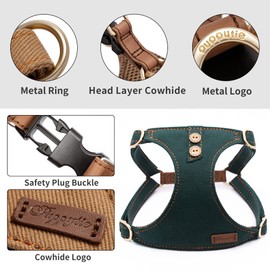 Dog Harness, No Pull Dogs Harness and Multi-Function Leash Set for Medium Dogs Easy Walk Everyday Adjustable Soft Dog Vest Harness Fashionable Dog Accessories Glacier Blue Button-M++