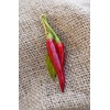 Thai Dragon Heirloom Chili Pepper Premium Seed Packet + More