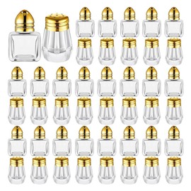 Ysyaxsyt Mini Salt & Pepper Shakers Clear Seasonings Shakers Tiny Spice Shakers Transparent Seasoning Shakers Gold