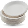 White Paper Bowls with Premium Quality - Eco Friendly Disposable